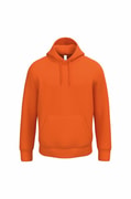 Goedkope heren Hoodie iDeal Basic Brand